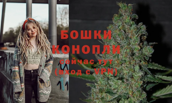 мяу мяу кристалл Переславль-Залесский