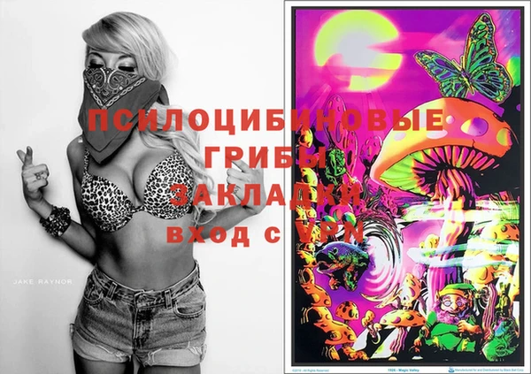 а пвп мука Видное