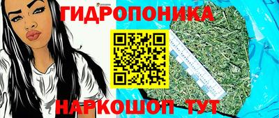 прущие грибы Жуковский