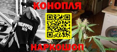 прущие грибы Жуковский