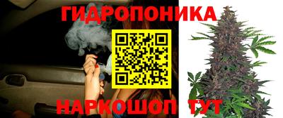 гидропоника Бузулук