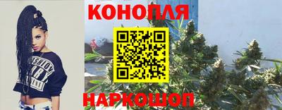 прущие грибы Жуковский